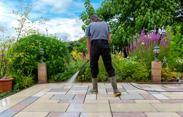 Best Driveway Cleaning and Restoration in Iowa Falls, IA